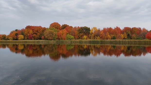 Centennial Park